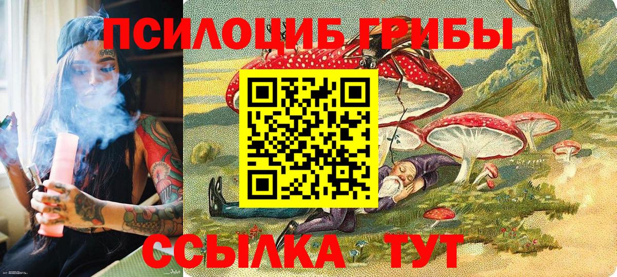 Галлюциногенные грибы Magic Shrooms Торжок