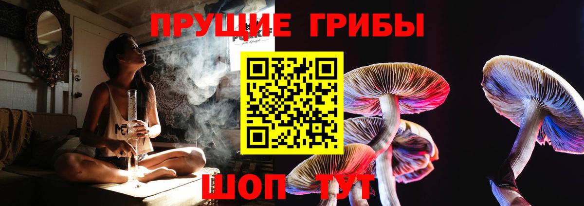 Торжок  Галлюциногенные грибы Psilocybine cubensis  Псилоцибиновые грибы MAGIC MUSHROOMS  Вход с VPN 